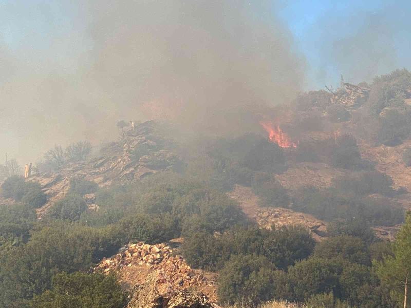 Uşak’taki yangınında 5,5 hektar alan kül oldu
