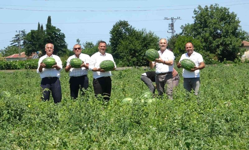 Türkiye’de damakları Bafra karpuzu tatlandırıyor
