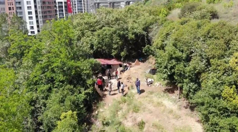 İstanbul’da “Kör Ercan” lakaplı pitbullu torbacıya baskın: Okulun karşısına kulübe kurmuş
