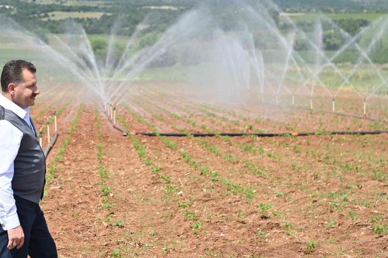 Balıkesir’in toprağı büyükşehir ile bereketleniyor
