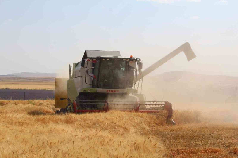 Siirt’te Toprak Mahsulleri Ofisi alım primi desteği başladı
