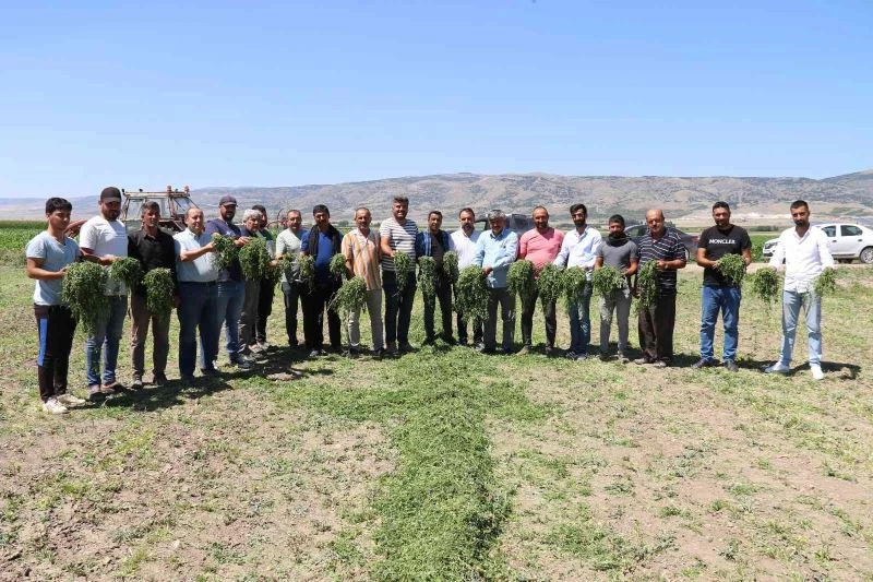 Aracılara sinirlenip İstanbul’a 2 gün boyunca ürün göndermeyi durdurdular
