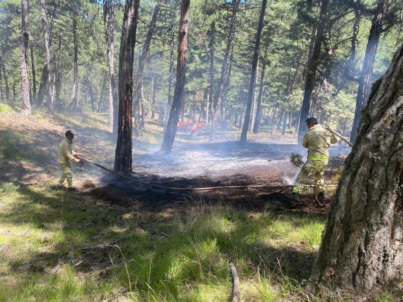 Osmancık’ta orman yangını
