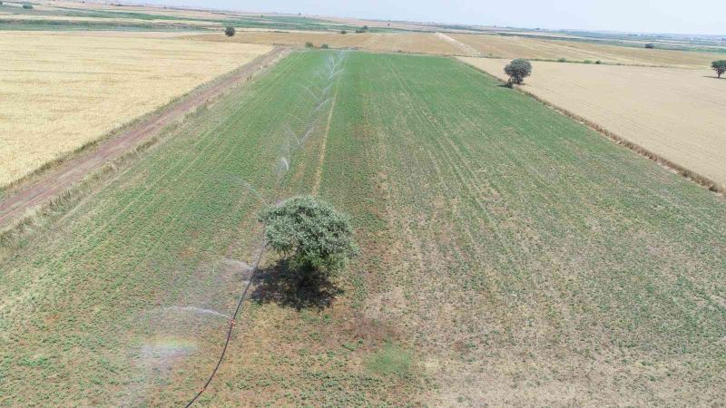 Çanakkale’de yapılan sulu tarım ülke ekonomisine yaklaşık 3 milyarlık katkı sağlayacak
