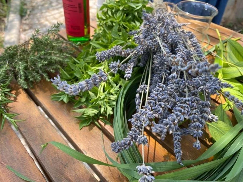 Uzmanından sivrisineklerden korunmanın 