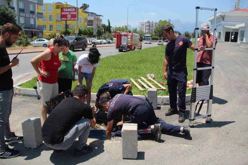 Hayanseverler ve itfaiyecilerden 40 derece sıcakta kedi kurtarma seferberliği
