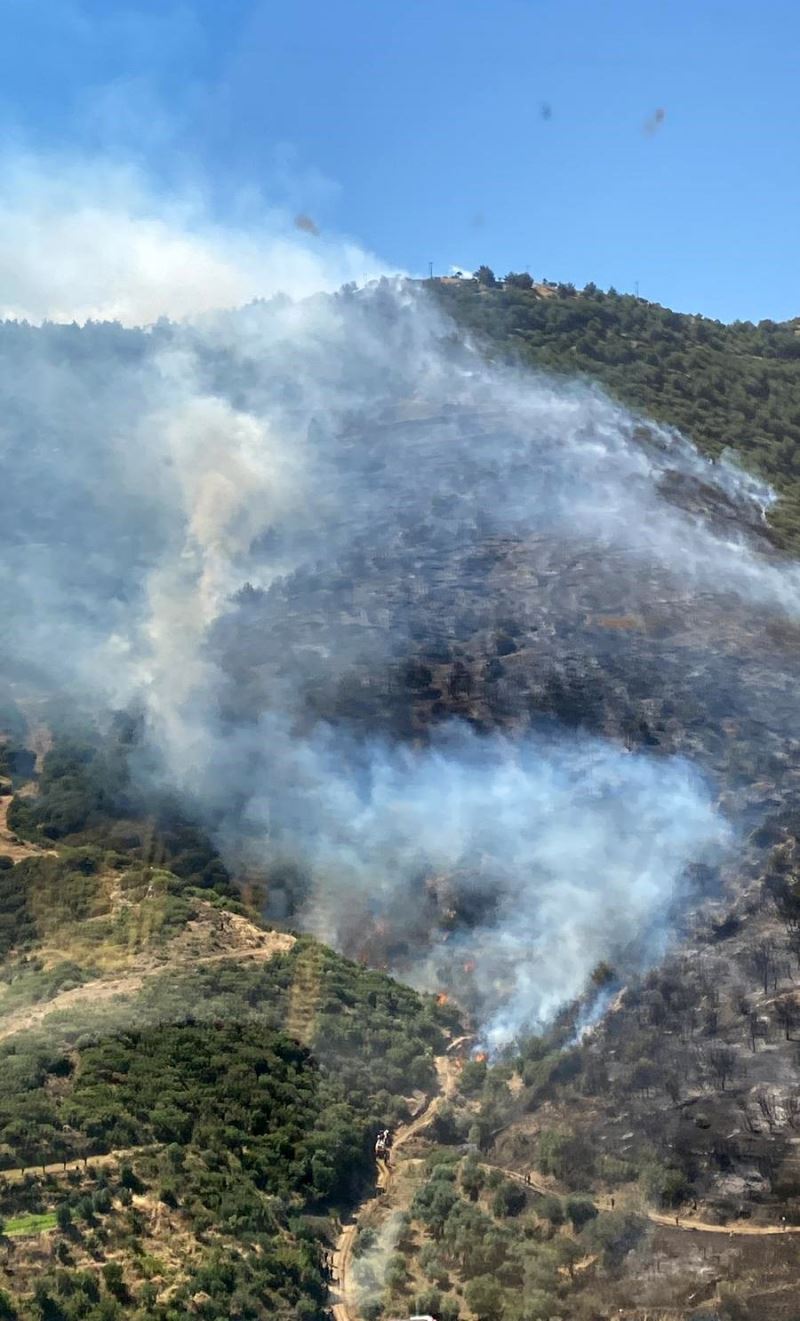 İzmir’deki orman yangını 149 dakikada kontrol altına alındı
