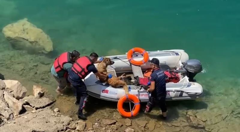 Batman’da baraj göletine düşen köpek bot yardımıyla kurtarıldı
