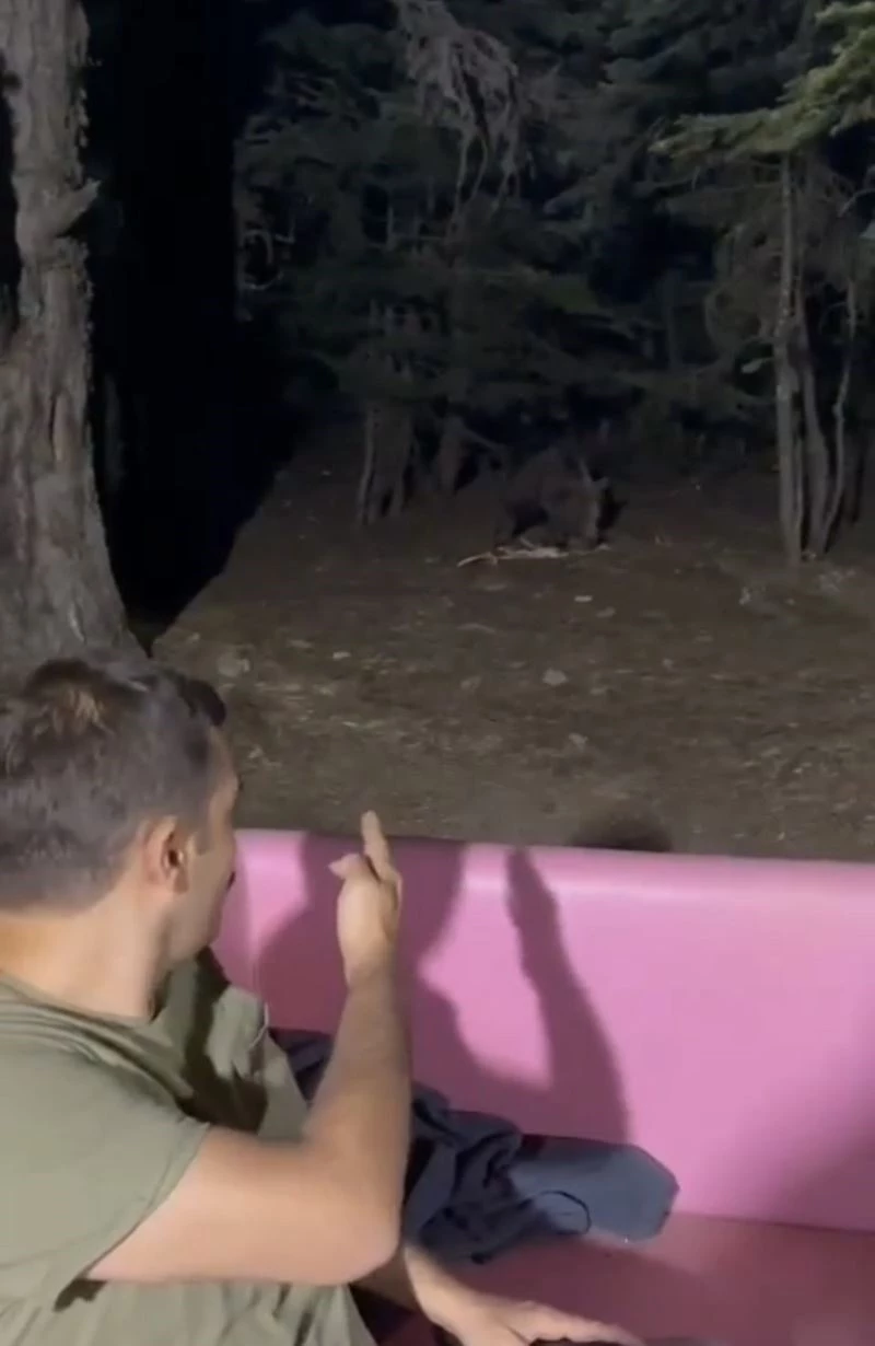 Uludağ’da bahçesine gelen ayıyla konuştu, o anlar kameralarda
