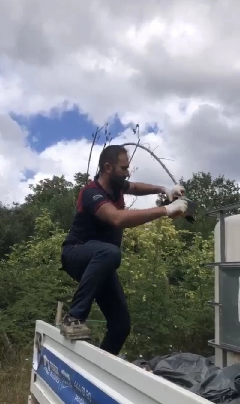 Pendik’te karga kurtarma operasyonu kamerada
