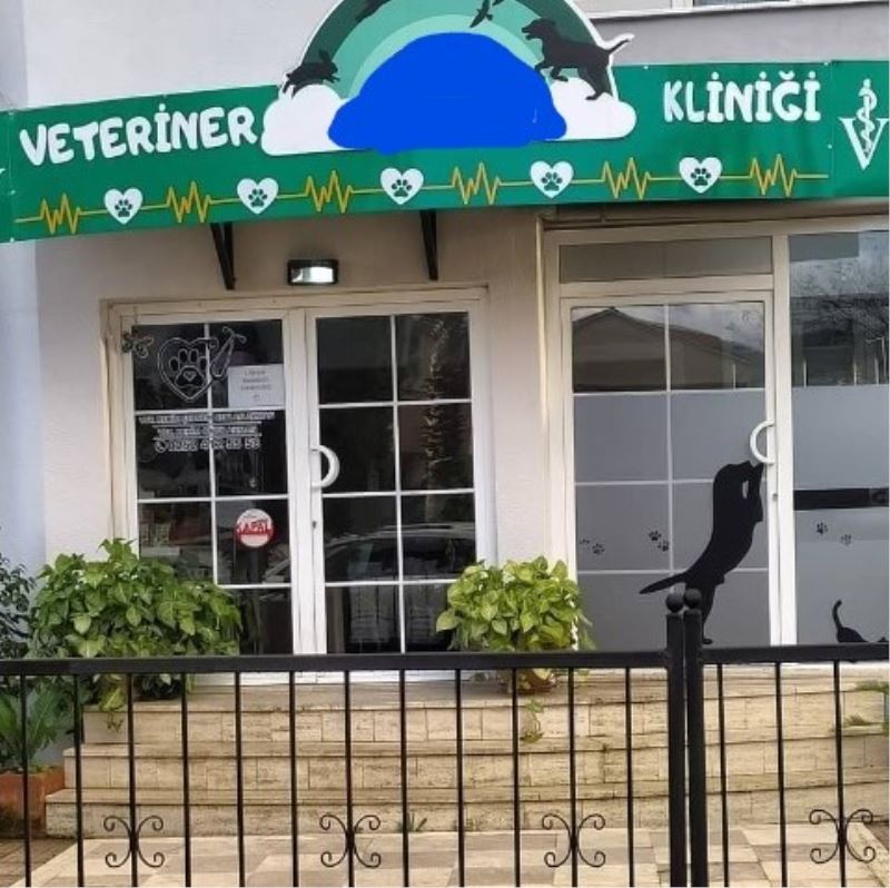 Bacağı kırılan köpekleri veterinerde öldü, suç duyurusunda bulundular
