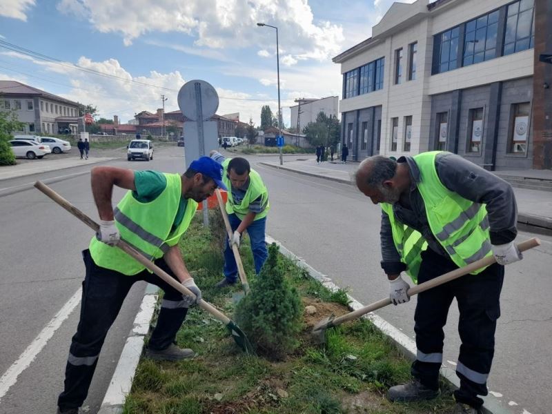 Kars’ta belediye park ve bahçelere fidan dikiyor
