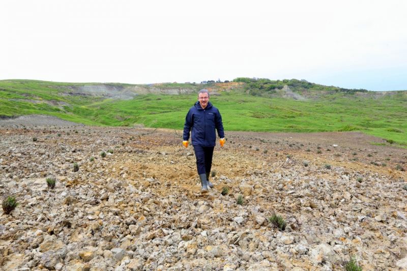 Eyüpsultan’ı lavanta kokusu saracak
