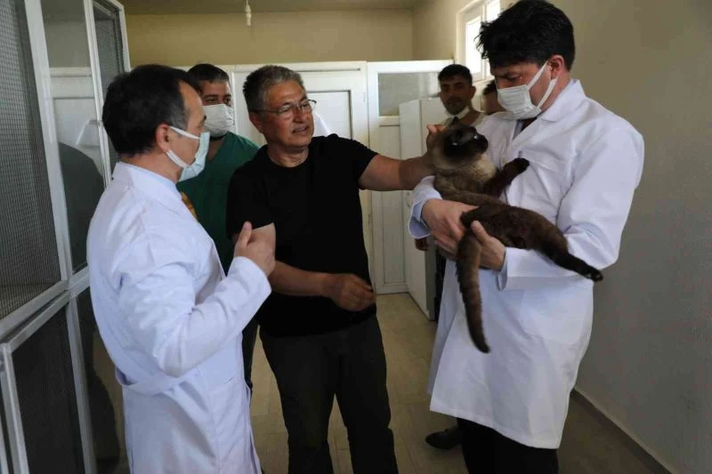 Can dostları sahiplerinin dikkatine
