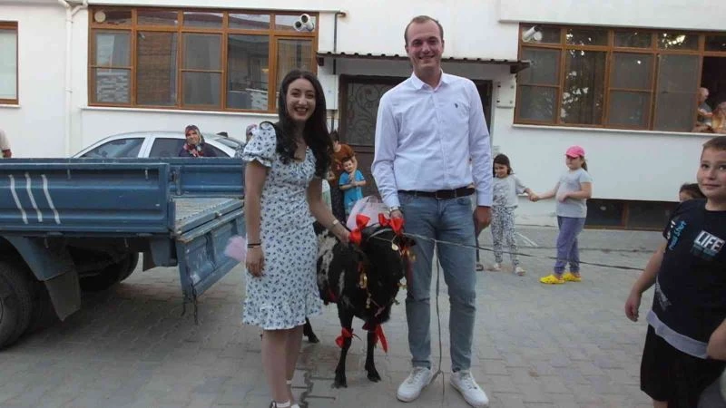 Balıkesir’de kurbanlık koçu altınlarla süslediler
