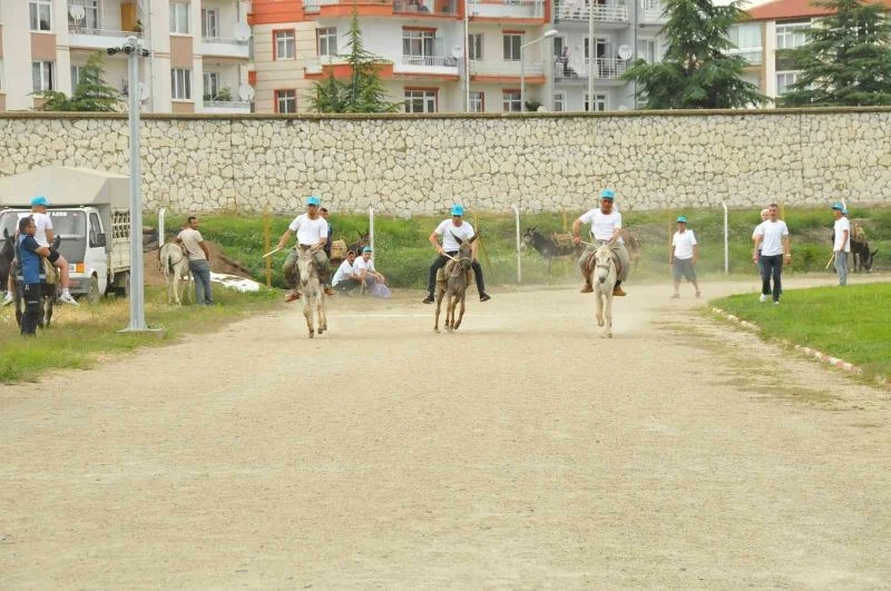 Eşekler birincilik için yarıştı
