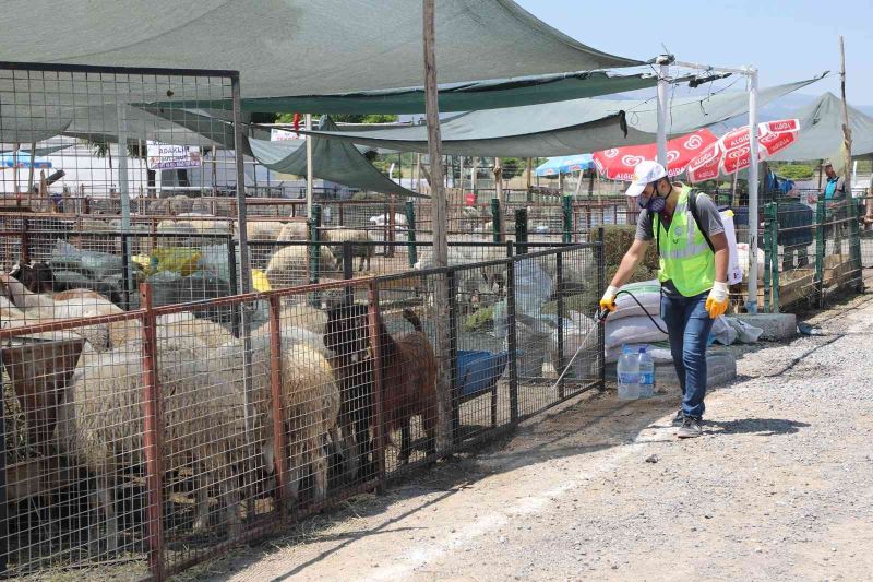 Talas’ın Kurban Pazarı’na tam not
