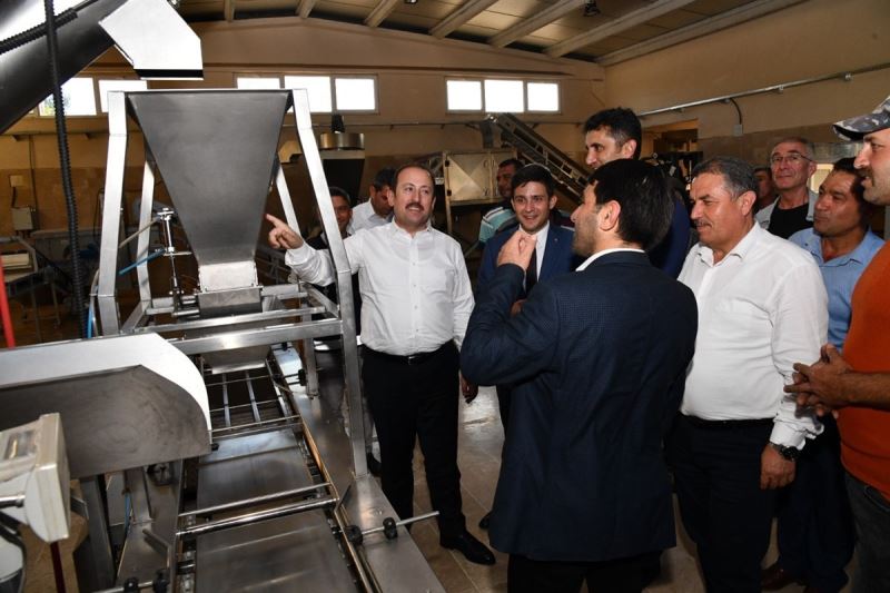 Vali Pehlivan, kuş üzümü temizleme ve paketleme tesisinde incelemelerde bulundu
