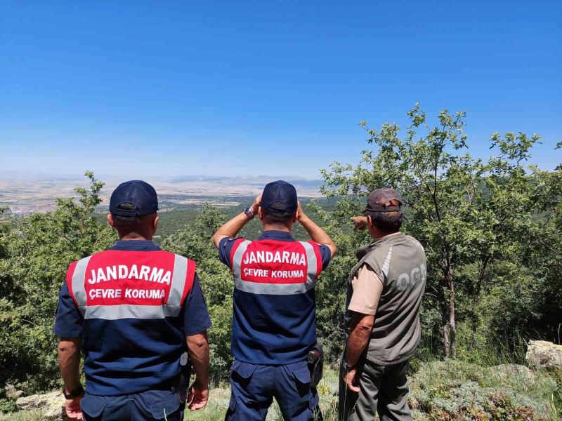 Jandarma yangınlara karşı ormanı dron ile denetliyor
