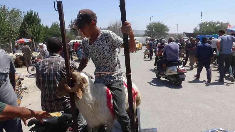 Kilis’te vatandaşlar kurbanlıklarını motosikletle taşıdı
