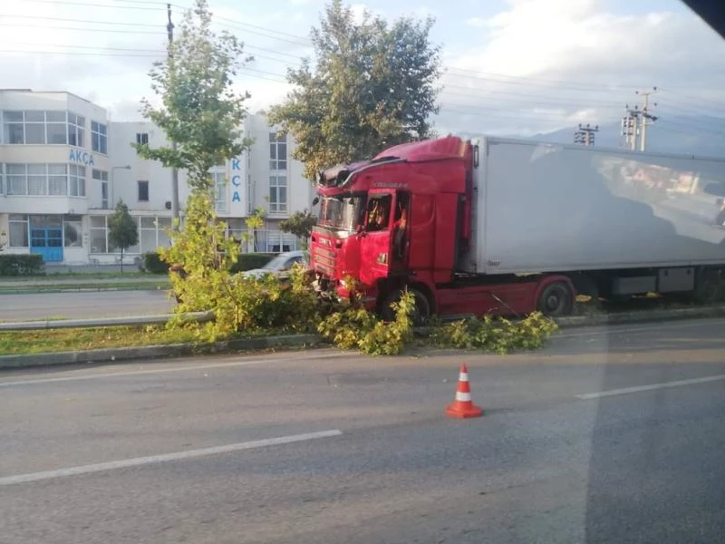 Bursa’da kontrolden çıkar tırı, ağaçlar durdurdu
