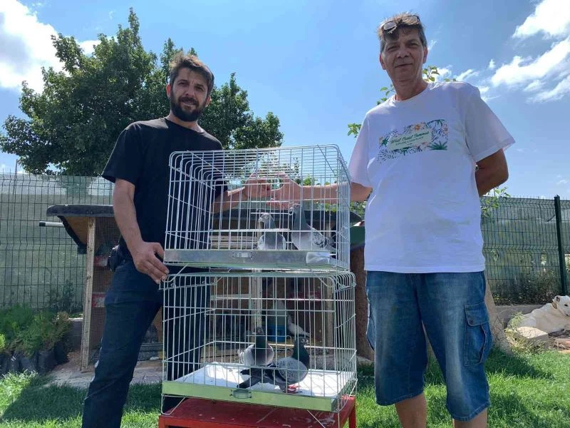  Bir günde bin 50 kilometre uçarak kümeslerine geri döndüler
