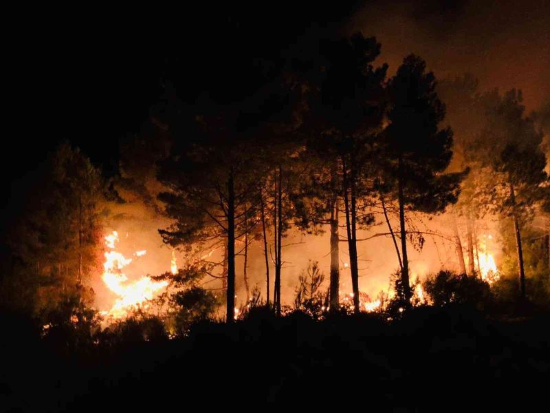 Sinop’un Gerze ilçesinde çıkan orman yangını korkuttu
