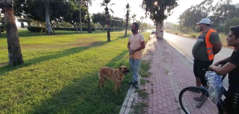 Antalya’da otluk alanda köpek tarafından bulunan cesedin kimliği belirlendi
