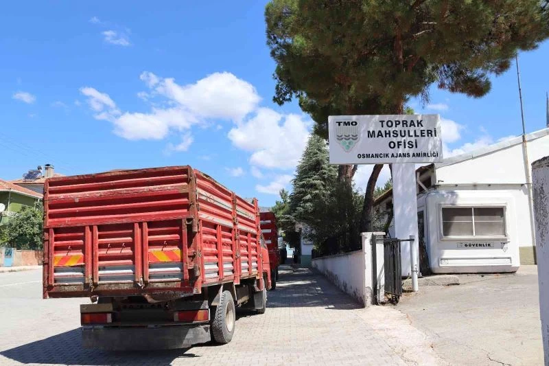 Osmancık TMO hububat alımında rekor kırıyor
