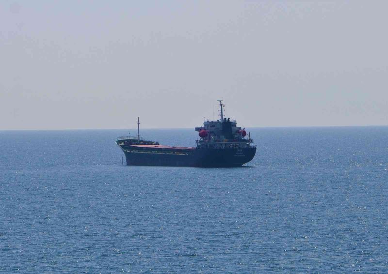 Ukrayna’dan 3 bin ton ayçiçeği taşıyan gemi Tekirdağ’a yanaştı
