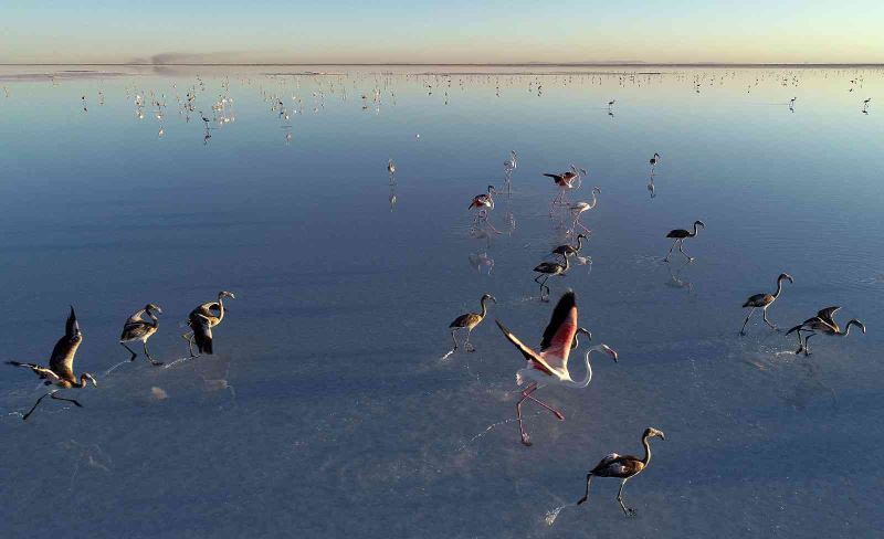 Bakan Kurum: “Tuz Gölü’ne su taşıdık, flamingolara can suyu verdik”
