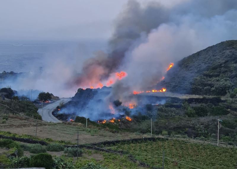 İtalya’nın Pantelleria Adası’nda orman yangını
