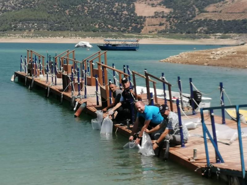 Kemer Barajı’na 150 bin balık bırakıldı
