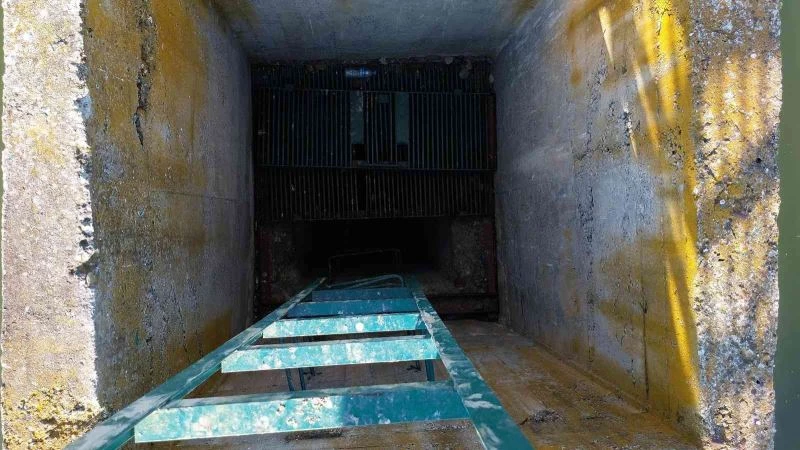 Drenaj kuyusu 3 kardeşe mezar oldu
