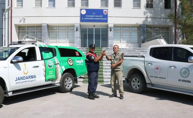 Jandarmanın uçamaz halde bulduğu yavru Benekli sinekkapan kuşu koruma altına alındı
