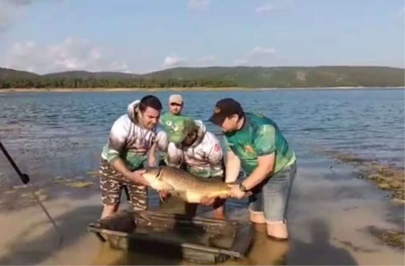 Ömerli Barajı’nda oltaya takılan dev sazan balığı görenleri şaşırttı
