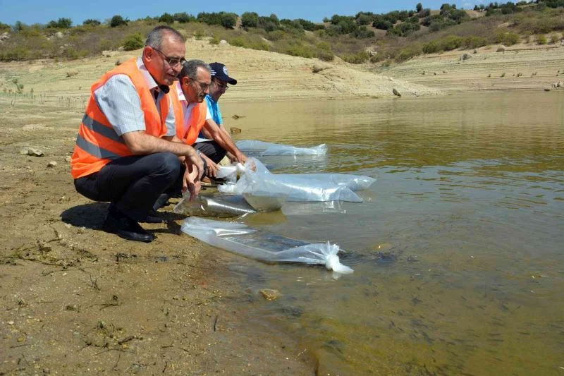 Aydın’da 741 bin sazan suyla buluştu
