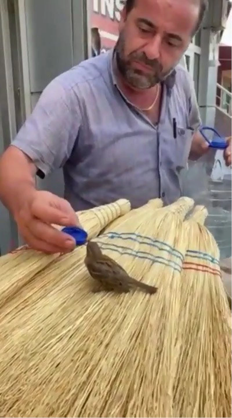 Muhtar susayan kuşa şişe kapağıyla su içirdi
