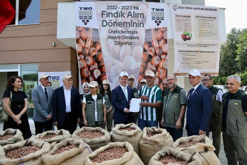 TMO Giresun’da fındık alımına başladı
