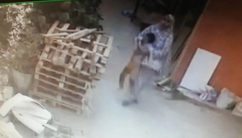 İstanbul’da dehşet anları kamerada: Balkondan düşen çocuğunu kucağında taşıdı
