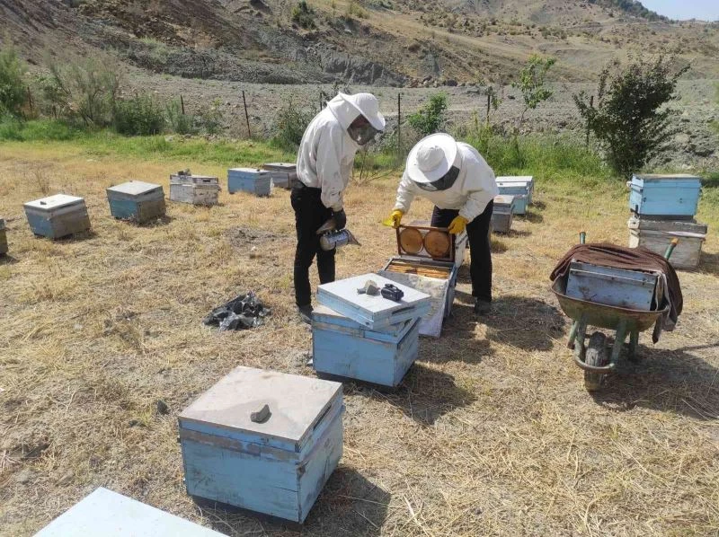 Batman’da kara kovan bal üreticileri hasada başladı
