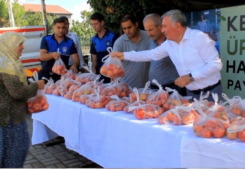 Honaz Belediyesi ata tohumundan yetiştirilen domatesleri halka ücretsiz dağıttı
