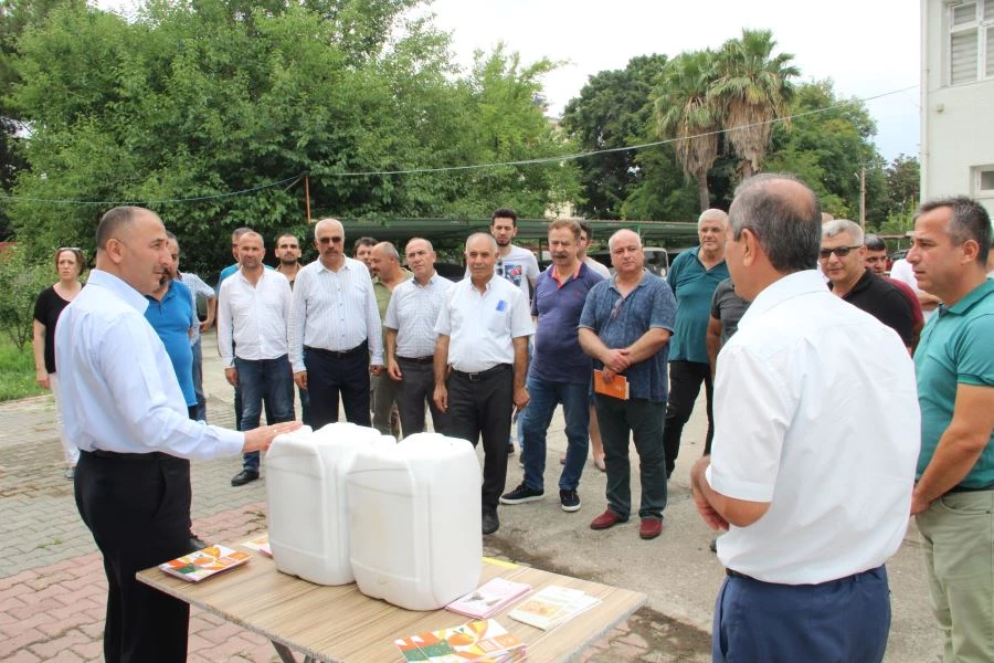 Akdeniz Meyve Sineği Mücadelesi Topyekün Yapılmalı