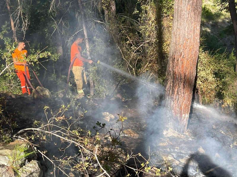 Alanya’daki orman yangını hızlı müdahaleyle büyümeden söndürüldü
