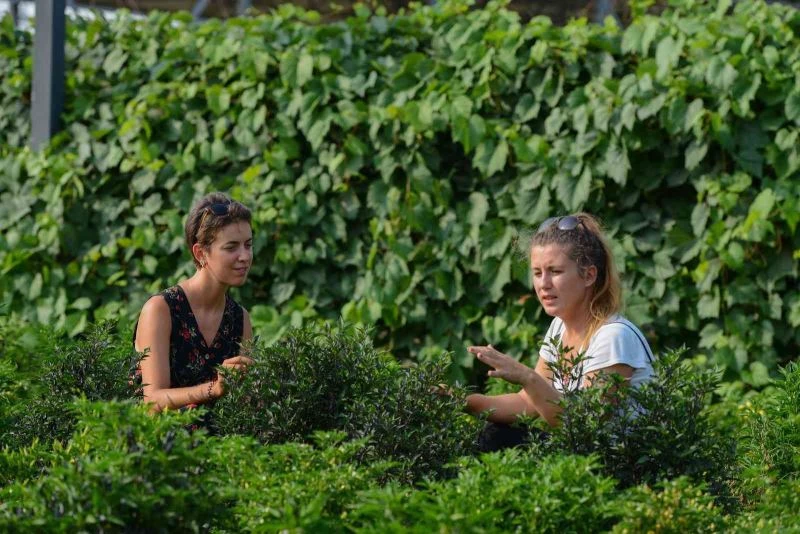 Fransa’dan bisikletiyle geldi, Nilüfer’in tarım çalışmalarını inceledi
