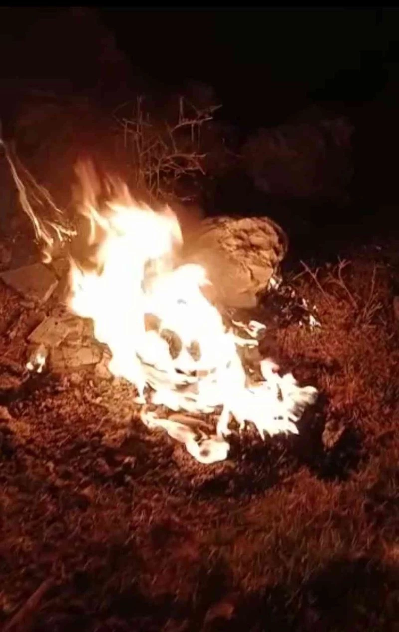 Van’da elektrik trafosu kundaklandı
