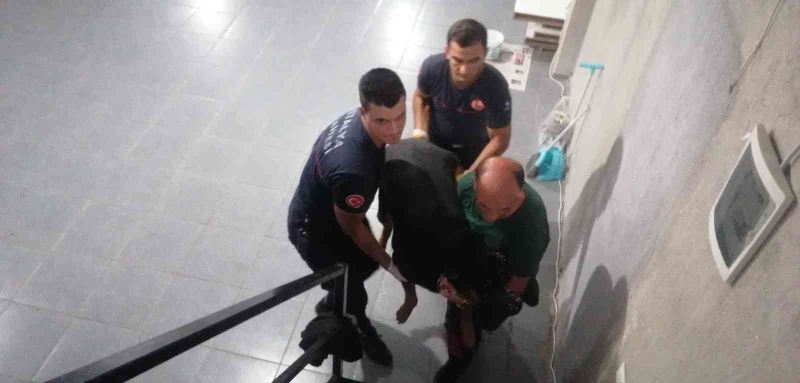 Antalya’da itfaiyeden bodrumda yaşayan ’Şişman köpek’ operasyonu
