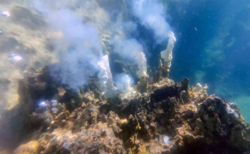 Van Gölü’nün derinliklerinde dumana benzer maden suyu çıkışları görüntülendi

