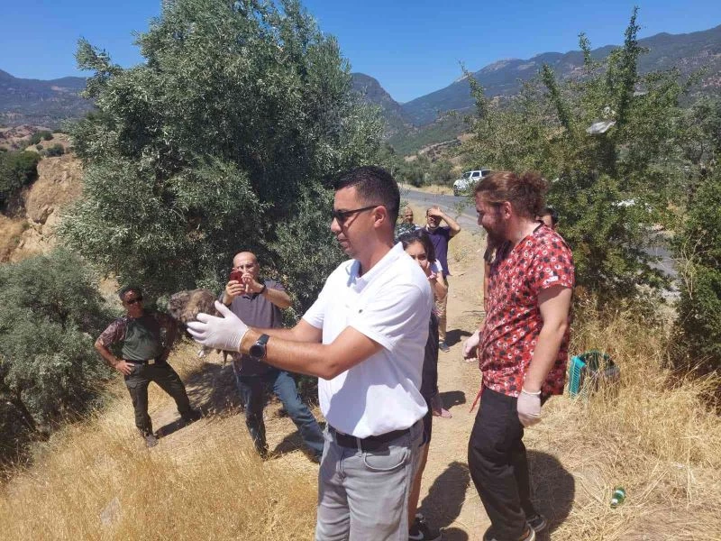 Yabani kuşlar yaşam alanlarına geri döndü
