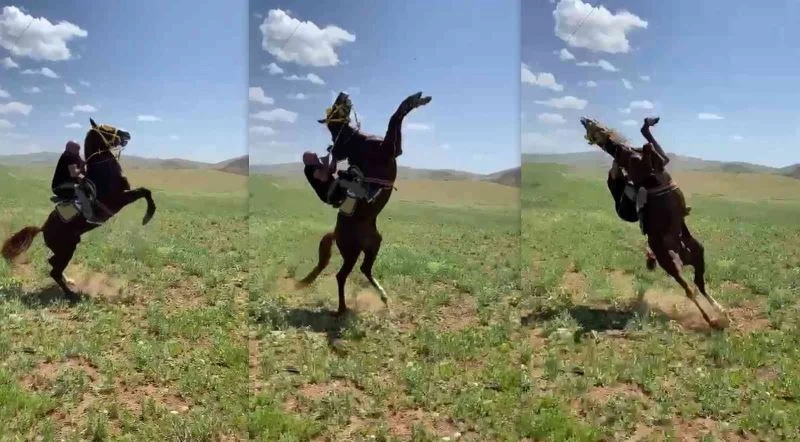 Muhtarın attan düşme anı
